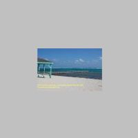 38745 18 062 Colliers Beach,  Grand Cayman, Karibik-Kreuzfahrt 2020.JPG